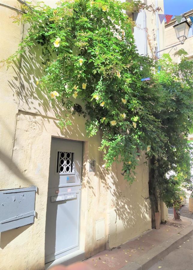 Le Balcon De Saint Roch Apartment Montpellier Bagian luar foto